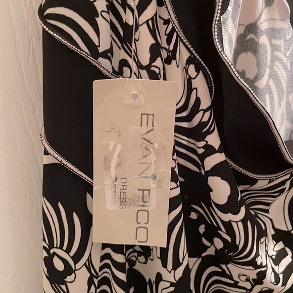 Evan-Picone Dress Sz 14P but fits like Sz 8-10 - Picture 5 of 6
